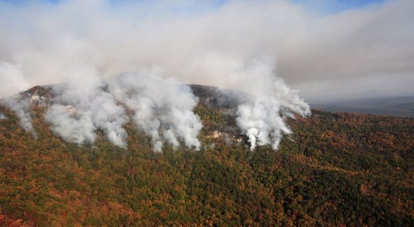 Wildfires Are Raging Throughout Parts Of South Carolina And It’s Devastating