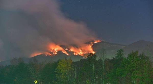 South Carolina’s Massive Wildfire Is Spreading And It’s Truly Tragic