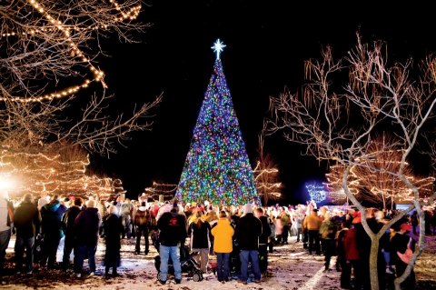 Visit 11 Christmas Lights Displays In Michigan For A Magical Experience