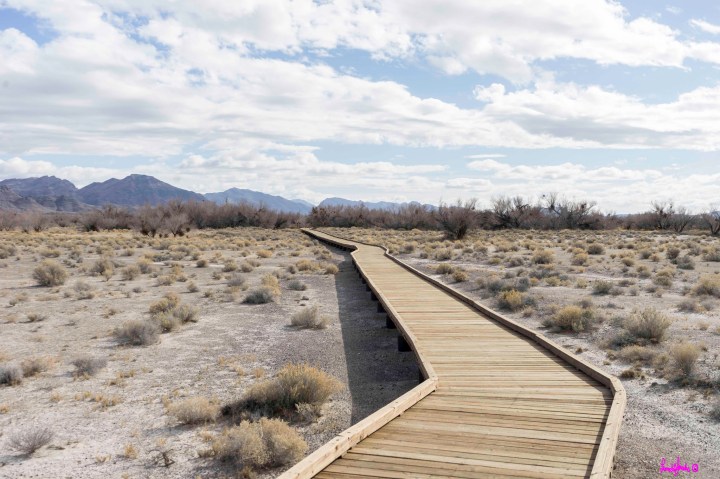 Ash Meadows National Wildlife Refuge