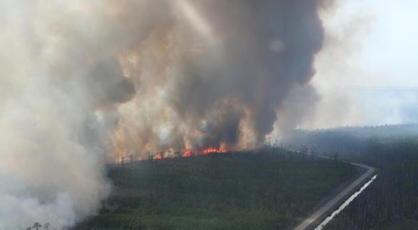 North Carolina’s Massive Wildfire Is Spreading And It’s Truly Tragic