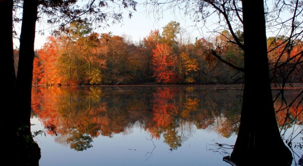 5 Country Roads In Delaware That Are Pure Bliss In The Fall