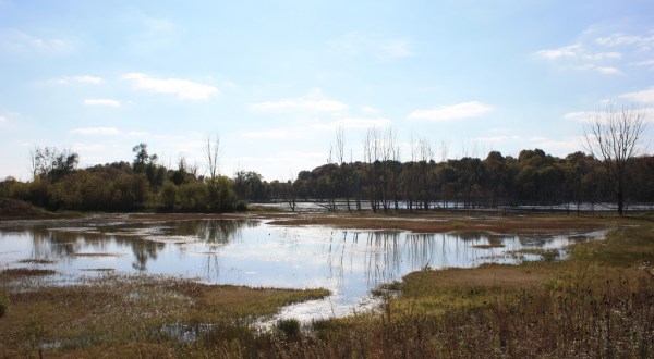The Stunning Nature Preserve Hiding In Indiana Most People Don’t Know About