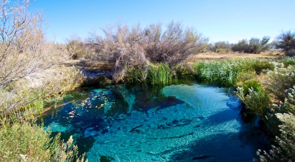One Of The World’s Longest Underground Rivers Flows Through Nevada