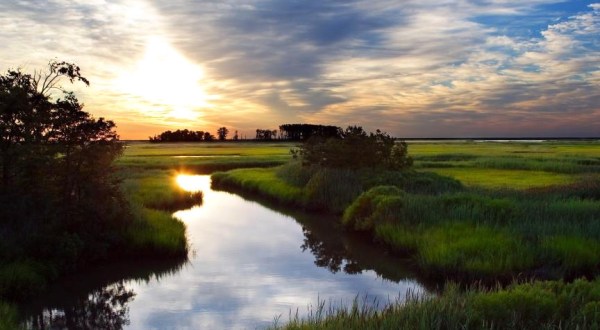 10 Ways Living In Delaware Ruins You For Life