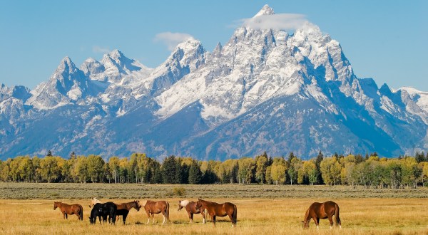 10 Things People Miss The Most About Wyoming When They Leave
