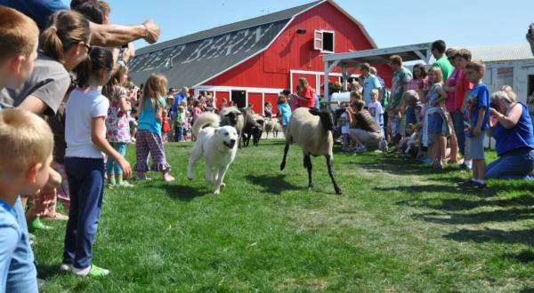 The One Farm In Michigan That May Become Your New Favorite Destination