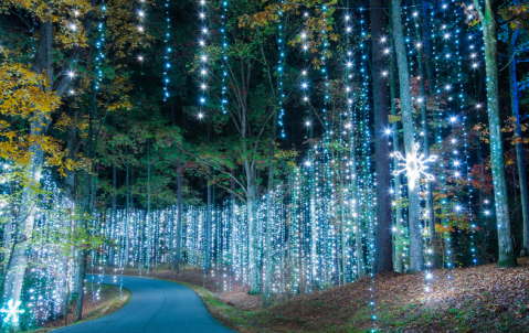 9 Christmas Light Displays In Georgia That Are Pure Magic