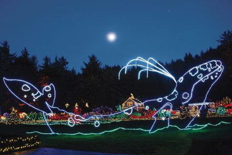 11 Christmas Light Displays In Oregon That Are Pure Magic
