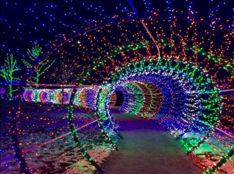 7 Christmas Light Displays In Idaho That Are Pure Magic