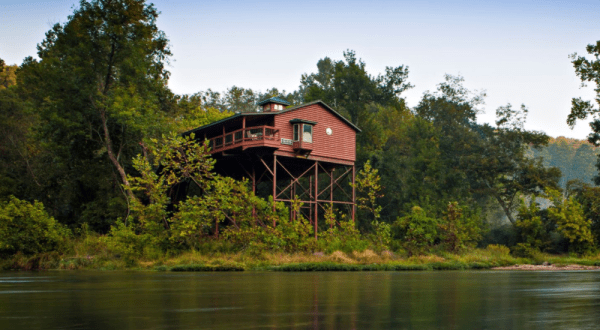 These 5 Treehouses In Missouri Will Give You An Unforgettable Experience