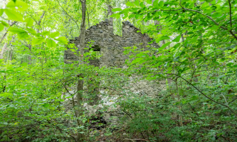 The Story Behind These 300 Year Old Ruins Is Truly Fascinating