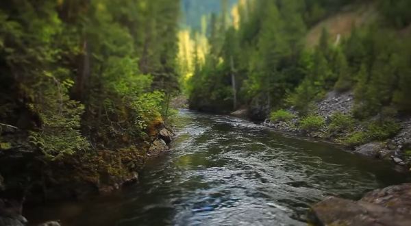 The Underrated River That Just Might Be The Most Beautiful Place In Idaho