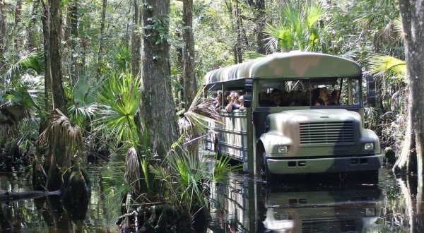13 Unforgettable Tours Everyone In Florida Should Take At Least Once