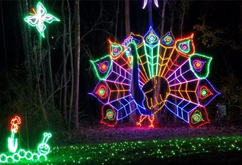 Visit 8 Christmas Lights Displays In South Carolina For A Magical Experience