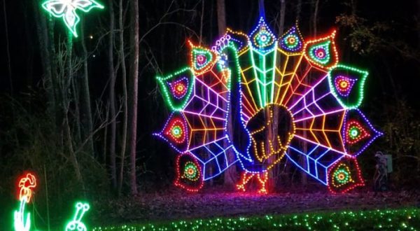 Visit 8 Christmas Lights Displays In South Carolina For A Magical Experience