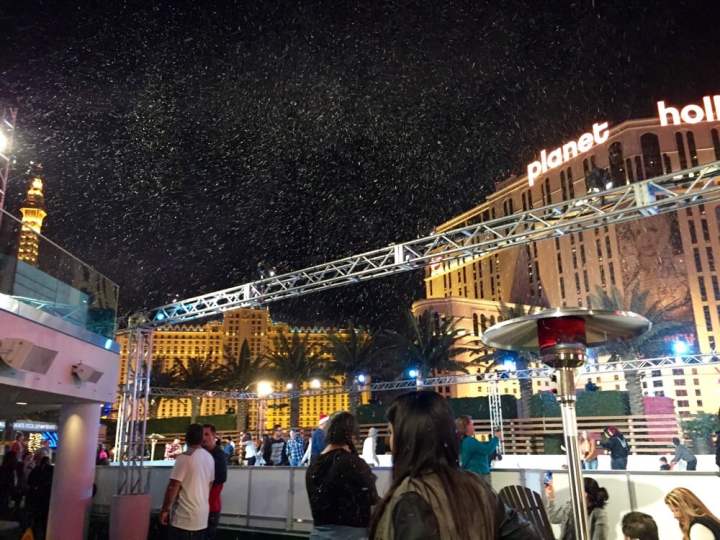 The Ice Rink at Boulevard Pool