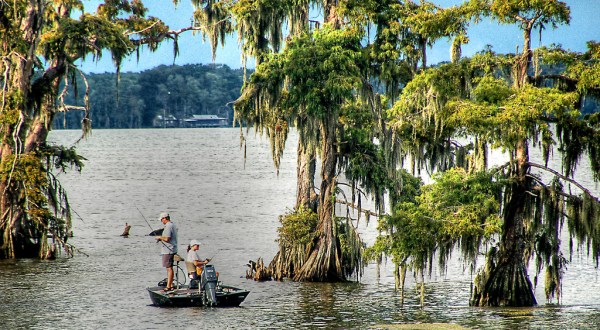 10 Reasons Why Louisiana Is The Most Underrated State In The U.S.