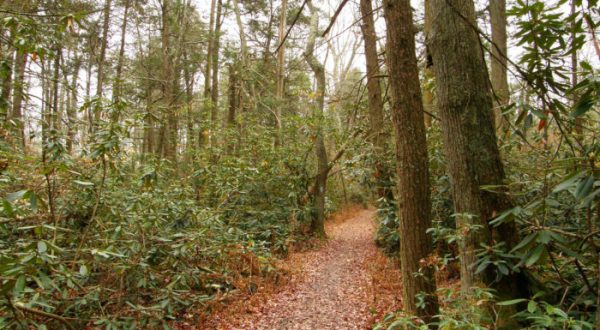 The Haunted Hike In Connecticut That Will Send You Running For The Hills