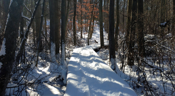 The One Winter Hike That Will Show You New Jersey Like Never Before