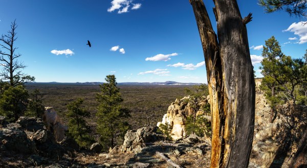 The Best New Mexico Hike You’ve Never Heard Of But Need To Take