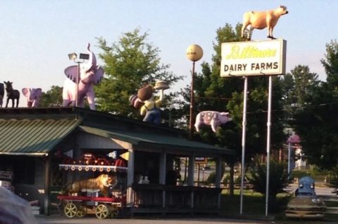 The Quirkiest Restaurant In North Carolina That's Impossible Not To Love
