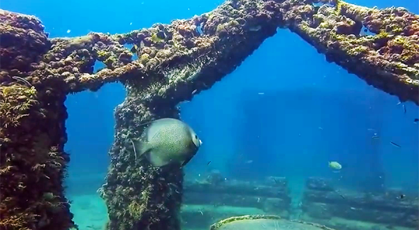 The Neptune Memorial Reef In Florida Is An Attraction That’s Unbelievable And Beautiful