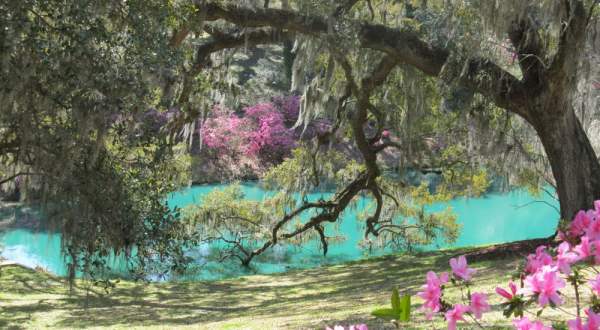The One Place In South Carolina Overflowing With Enchantment