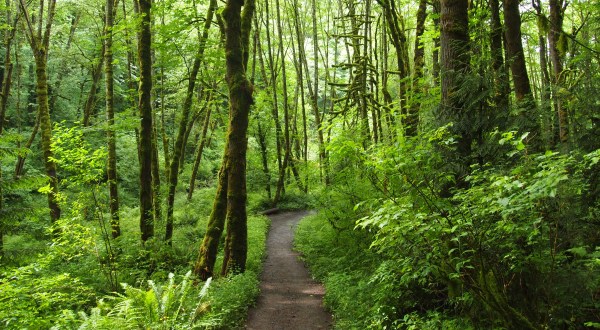 The Haunted Hike In Portland Will Send You Running For The Hills
