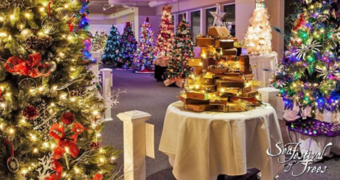 You Will Love This Epic Festival Of Christmas Trees In Massachusetts