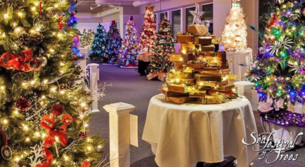 You Will Love This Epic Festival Of Christmas Trees In Massachusetts