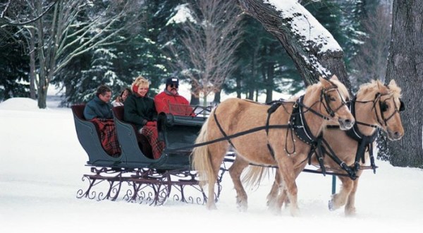 These 6 Horse Drawn Carriage Rides In West Virginia Are Pure Magic