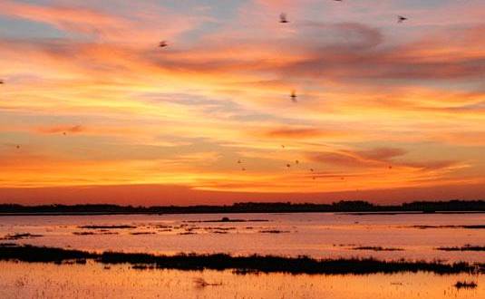 Here’s The Most Scenic Drive You Can Possibly Take In Kansas This Winter