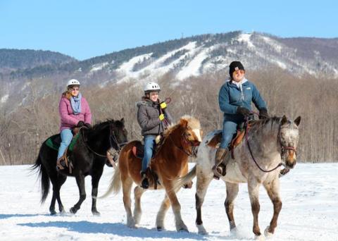 The Winter Horseback Riding Trail In New Hampshire That's Pure Magic