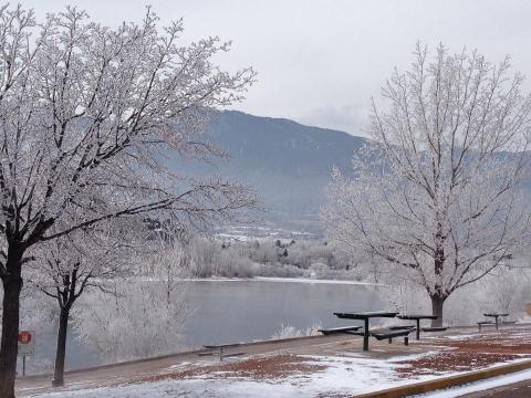 The Easy 1-Mile Winter Hike In Colorado That's Positively Bewitching