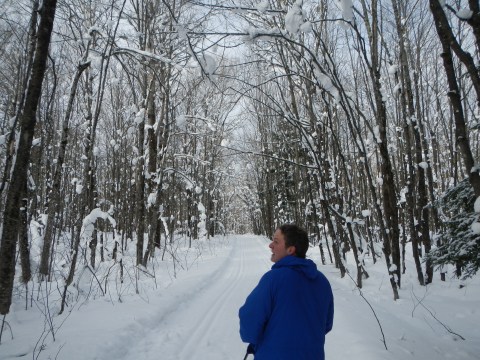 The Easy 1-Mile Winter Hike In Michigan That's Positively Bewitching