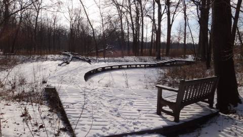 11 Picturesque Trails In Missouri That Are Perfect For Winter Hiking