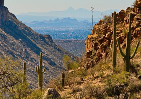 9 Easy Hikes You Can Enjoy In Arizona This Winter
