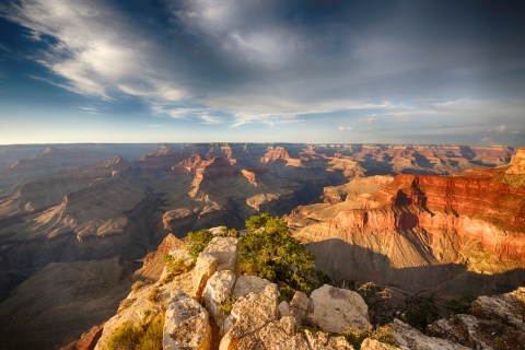 14 Things Every True Arizonan Does At Least Once Before They Die
