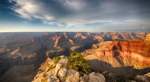 14 Things Every True Arizonan Does At Least Once Before They Die