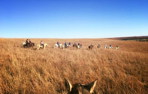 The Winter Horseback Riding Trail In Kansas That's Pure Magic