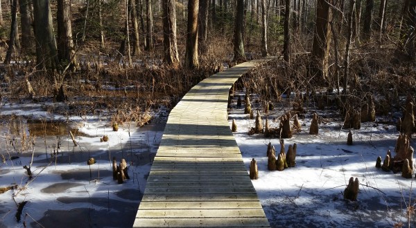 10 Picturesque Trails In Maryland That Are Perfect For Winter Hiking