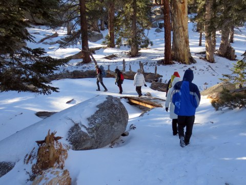 11 Picturesque Trails In Southern California That Are Perfect For Winter Hiking