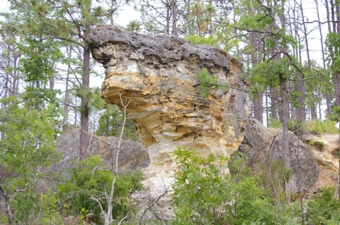 There's A Little Known Unique Landmark In South Carolina And It's Truly Spectacular