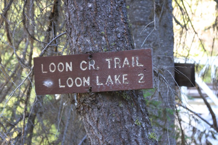 Loon Lake Loop