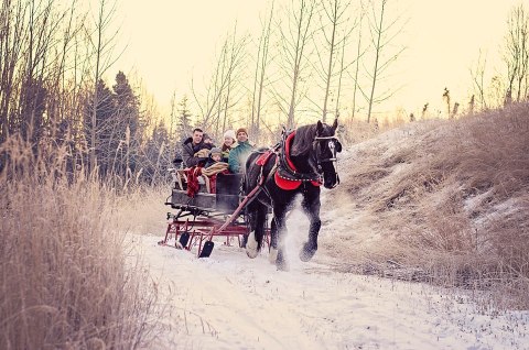 This Sleigh Ride Tour In Alaska Is What Winter Wonderland Dreams Are Made Of