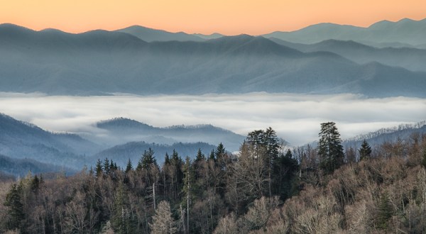 Here’s The Most Scenic Drive You Can Possibly Take In Tennessee This Winter