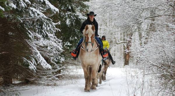 The Winter Horseback Riding Trail At Deer Path Riding Stable In Pennsylvania Is Pure Magic