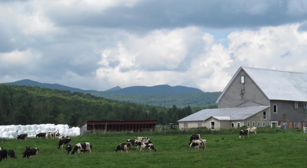 10 Small Towns In Rural Vermont That Are Downright Delightful