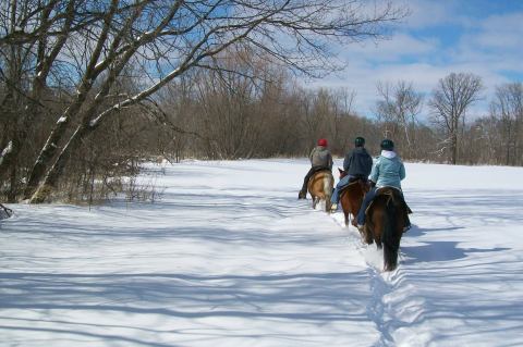 The Winter Horseback Riding Trail In Minnesota That's Pure Magic